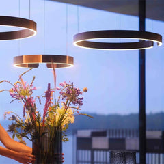 Sculptural Open Circle LED Ceiling Pendant