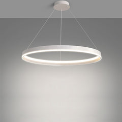Modern Ring LED Pendant Light