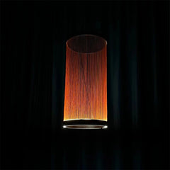 Modern Wire Mesh Pendant Light