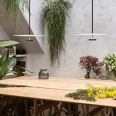 Slim Disc Pendant Light