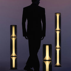 Modern Smoked Glass LED Floor Lamp